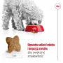 Sucha karma dla psa Royal Canin Adult Mini S 8 kg — kompletne żywienie dla małych dorosłych psów