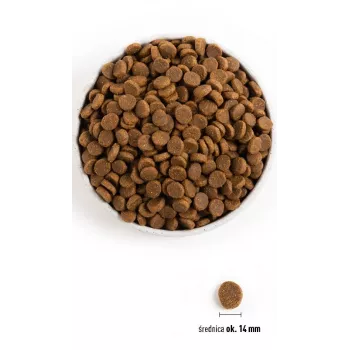 ACANA Senior - sucha karma dla psa - 11,4kg