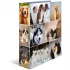 Ring binder HERMA 7165 A4 D-ring Storage