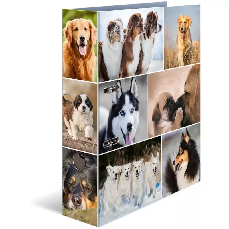 Ring binder HERMA 7165 A4 D-ring Storage