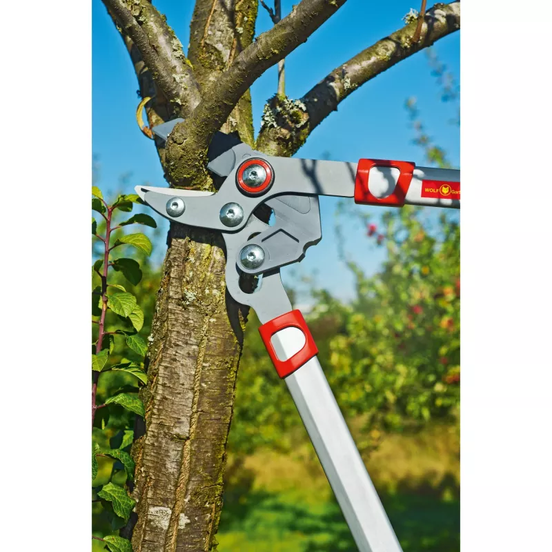 Sekator WOLF-Garten POWER CUT RS 650 BASIC PLUS