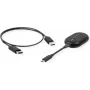ROLINE Drahtloses P2P-Anzeige-Dongle-Set, Tx+Rx, Wireless USB-C zu HDMI, 1080p, 20 m