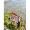 Schildkröt Funsports Fiji