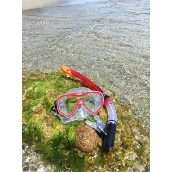 Schildkröt Funsports Fiji