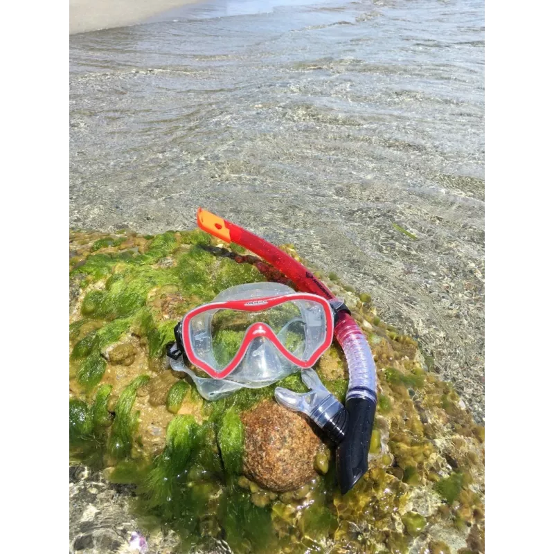 Schildkröt Funsports Fiji