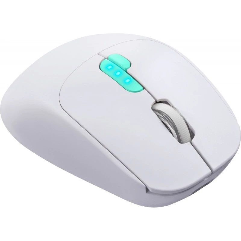 Mysz Defender NITTA MM-307 RF+BT OPTYCZNA 1600dpi 6P BIAŁA