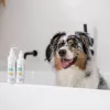 Szampon dla zwierząt VETEXPERT Clinic Care Hypo&Omega 250 ml — hipoalergiczny szampon nawilżający z kwasami tłuszczowymi omega dla dorosłych kotów, wszystkie rodzaje sierści