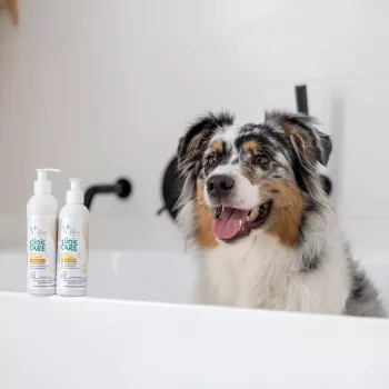 Szampon dla zwierząt VETEXPERT Clinic Care Hypo&Omega 250 ml — hipoalergiczny szampon nawilżający z kwasami tłuszczowymi omega dla dorosłych kotów, wszystkie rodzaje sierści
