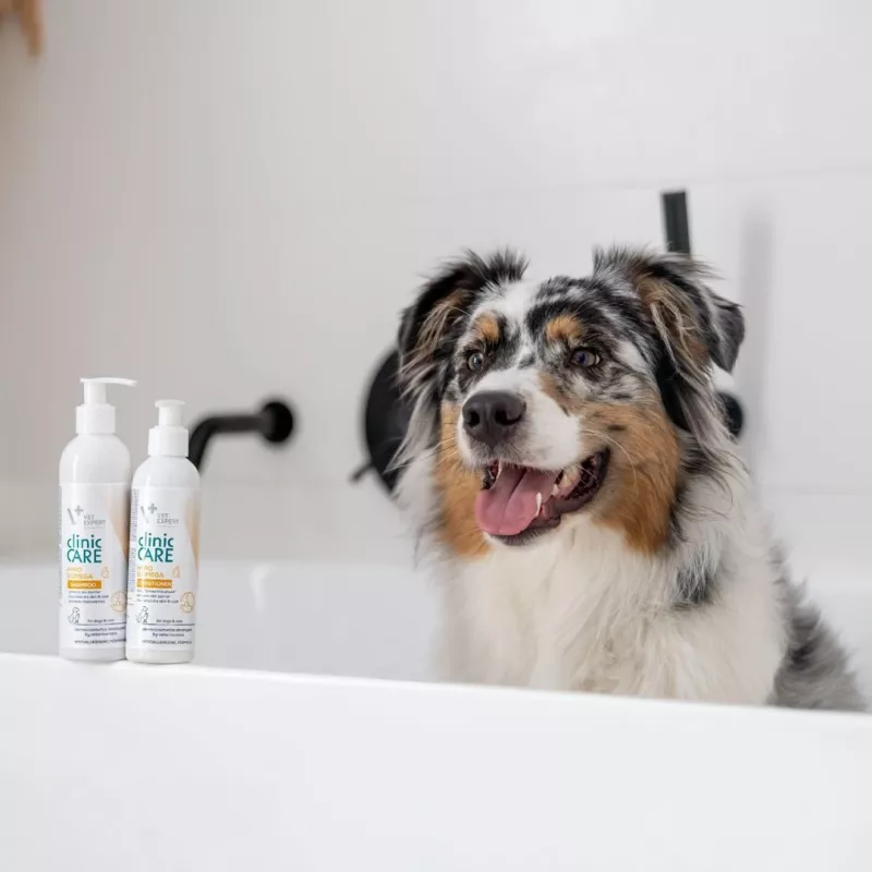 Szampon dla zwierząt VETEXPERT Clinic Care Hypo&Omega 250 ml — hipoalergiczny szampon nawilżający z kwasami tłuszczowymi omega dla dorosłych kotów, wszystkie rodzaje sierści