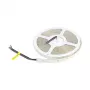 Synergy 21 LED Flex Strip 5050 - 60 RGB DC24V + RGB-W jeden chip SWW IP65