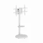 Wolnostojący stojak pod telewizor GEMBIRD TVS-86TR-01-W do telewizorów 37–86 cali, biały, obrotowy i z regulacją nachylenia, VESA 200x200–600x400, maks. obciążenie 50 kg