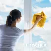 Środek do czyszczenia szkła Frischer z funkcją antyparową 1 l