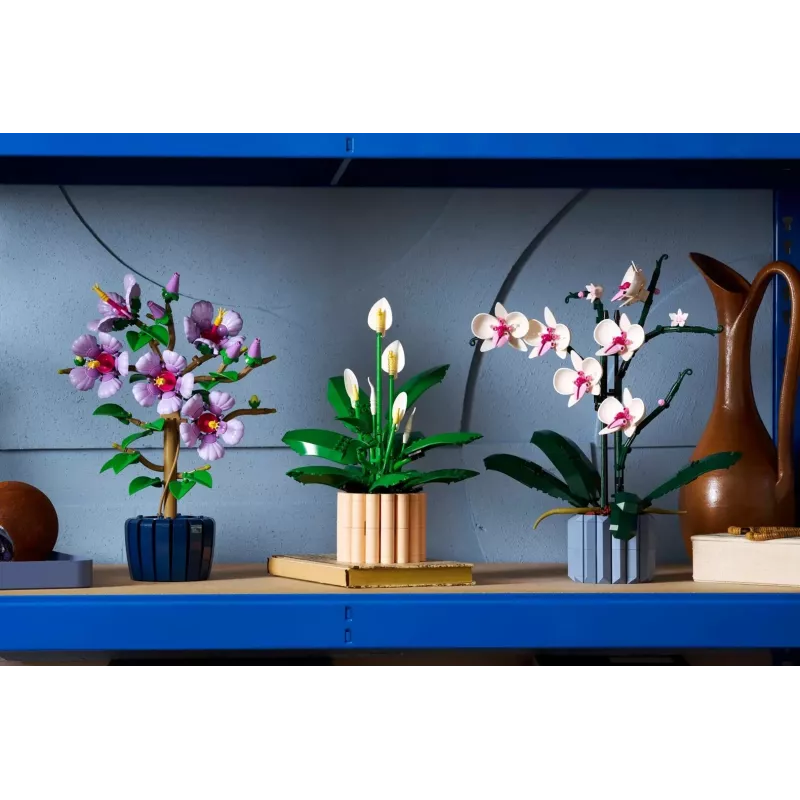 LEGO BOTANICALS 11504 Lilia Pokojowa