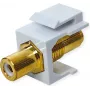 VALUE ROLINE Keystone-Coupling RCA Ekranowane Plastik Biały (25.99.8211)