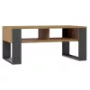 Stolik kawowy top e shop Modern 90×58×50 cm, antracytowa rama, matowe półki Artisan dąb