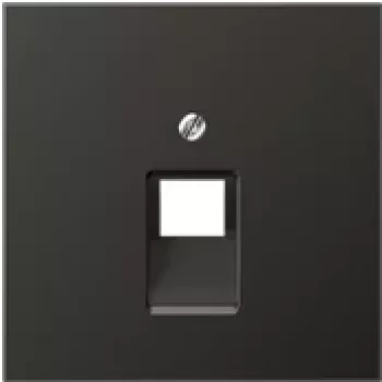 Jung AL 2969-1 UA AN Anthracite (AL2969-1UAAN)