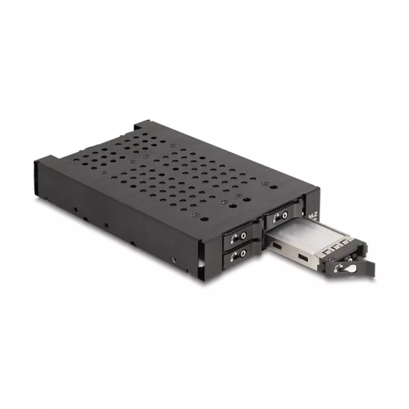 Klatka HDD DeLOCK 47072 Kompatybilna z Szafą Rack Metalowa Szerokość 100 mm