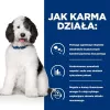 HILL'S PRESCRIPTION DIET Canine c/d Multicare Sucha karma dla psów Kurczak 12 kg