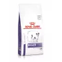 Sucha karma dla psa Royal Canin Adult Small Dog 2 kg — drób, 25% białka, 16% tłuszczu, wsparcie zębów