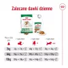 ROYAL CANIN Mini Ageing Adult +12 - sucha karma dla psów - 3,5 kg