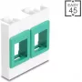Ramka modułowa 45x45 mm do montażu naściennego DELOCK Easy 2x uchwyty Keystone biało-zielona