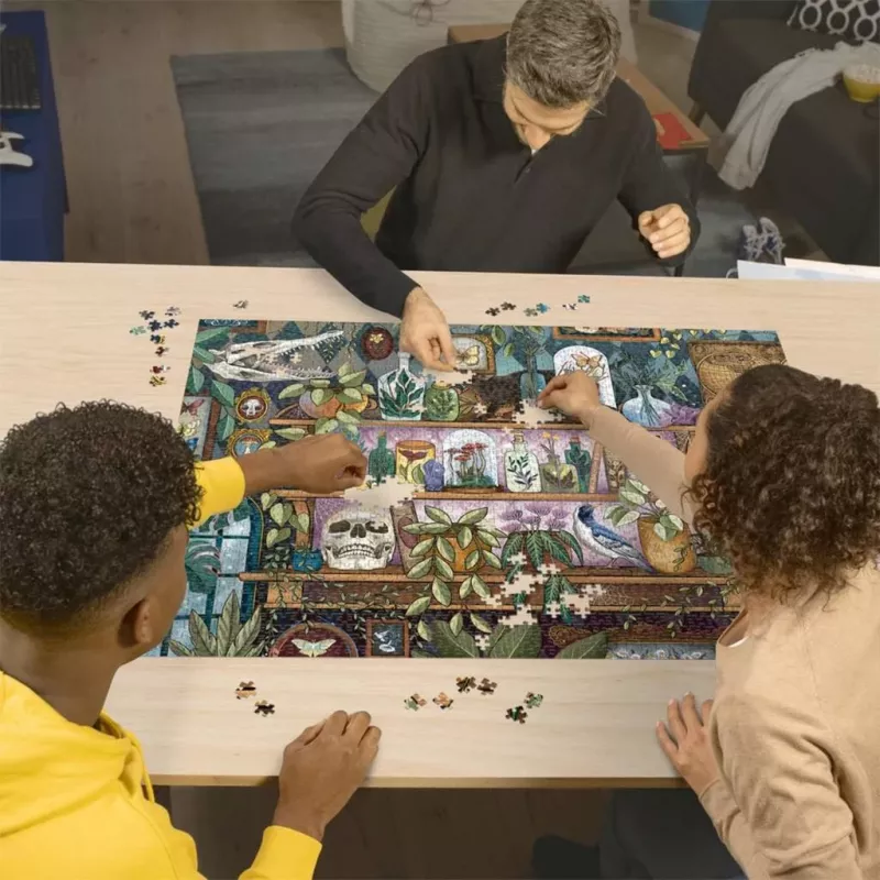 Puzzle Ravensburger A Witch's Favorite Things — 2000 elementów