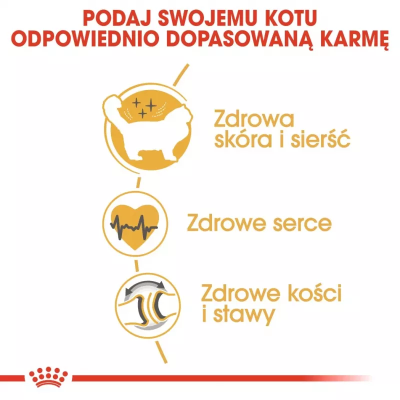 Royal Canin FBN Ragdoll Adult sucha karma dla kotów, 2 kg