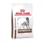 ROYAL CANIN Gastrointestinal - sucha karma dla psa - 2 kg