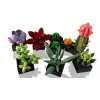 Lego Icons 10309 Sukulenty