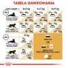 Royal Canin FBN Maine Coon Adult sucha karma dla kotów, 4 kg