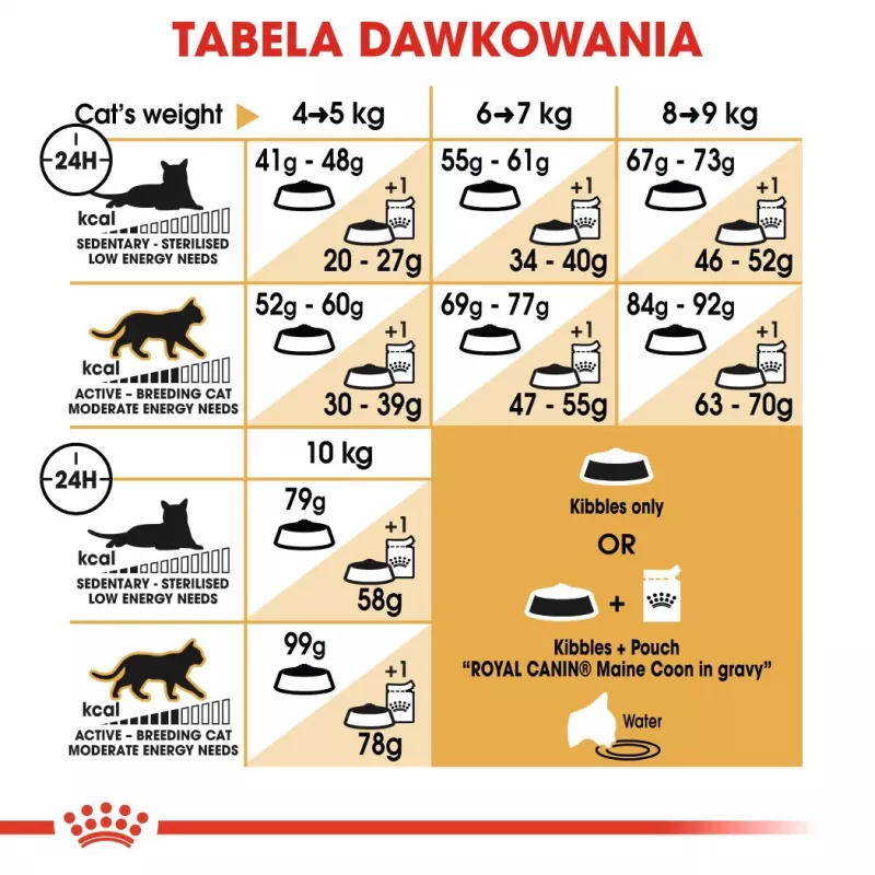Royal Canin FBN Maine Coon Adult sucha karma dla kotów, 4 kg