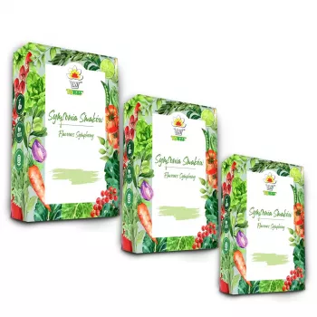 Toraf Seed Set - Zestaw 1X3 2024 Toraf 36X1SZT.