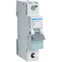 Hager MCS120 Wyłącznik nadprądowy typ C 1 1-modułowy(e) (MCS120)