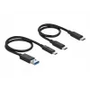 Delock M.2 Docking Station - Schnittstellenadapter - M.2 NVMe Card - USB 3.2 (Gen 2) - Silber