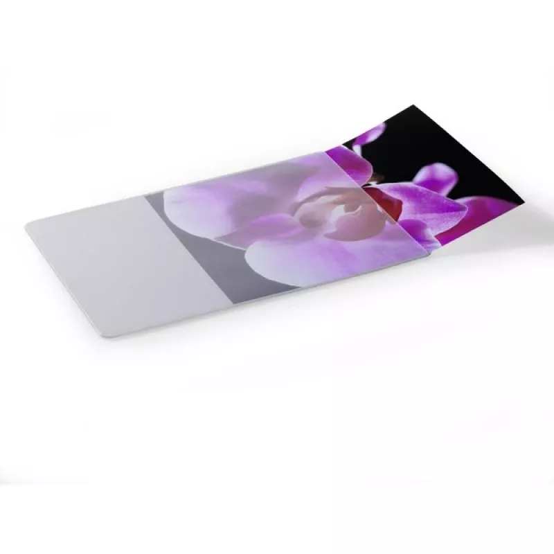 Durable 5747-19 Transparent Document Holder