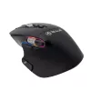 Mysz bezprzewodowa Tellur TLL491261 USB