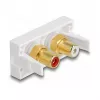 DeLOCK Easy 45 gniazdo 2 x RCA Biały ABS
