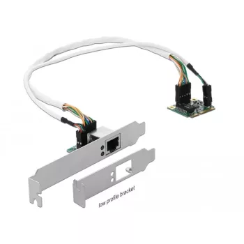 DeLOCK Mini PCIe I/O PCIe half size 1 x Gigabit LAN Low Profile - Karta sieciowa - PCIe Half Mini Card - Gigabit Ethernet x 1 (95265)