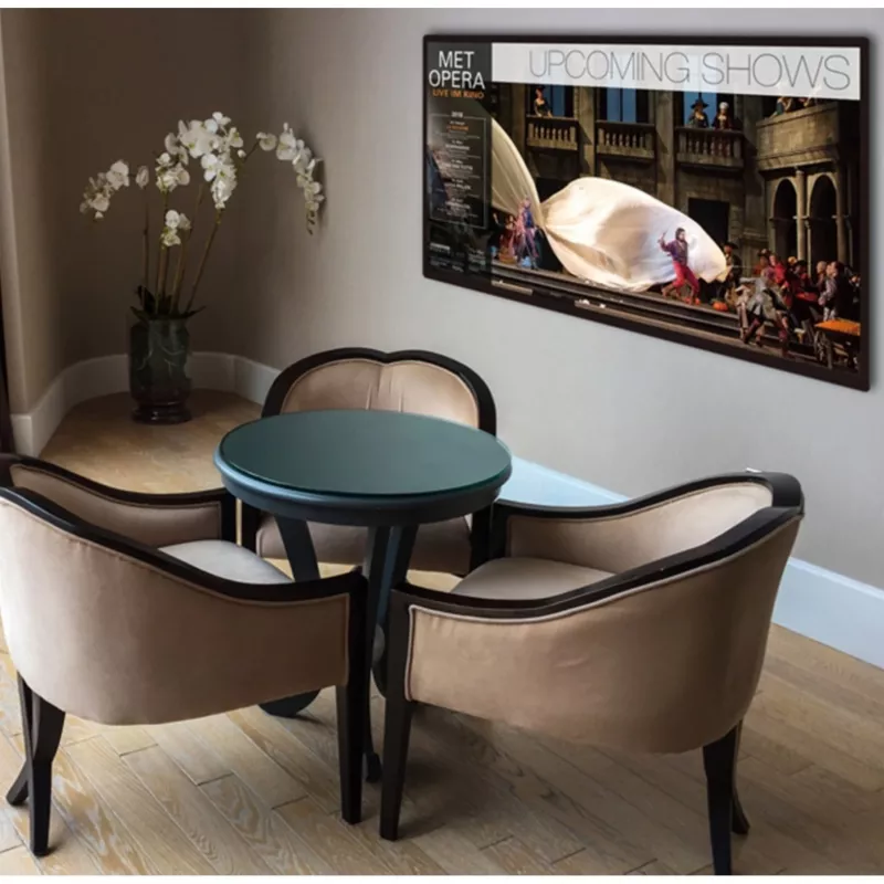 Braun DigiFrame 240 Business Line 60,96 cm (24,0 cala)
