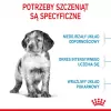 Sucha karma dla psa Royal Canin Medium Puppy 15 kg — dla szczeniąt ras średnich, smak kurczaka, 32% białka, 20% tłuszczu