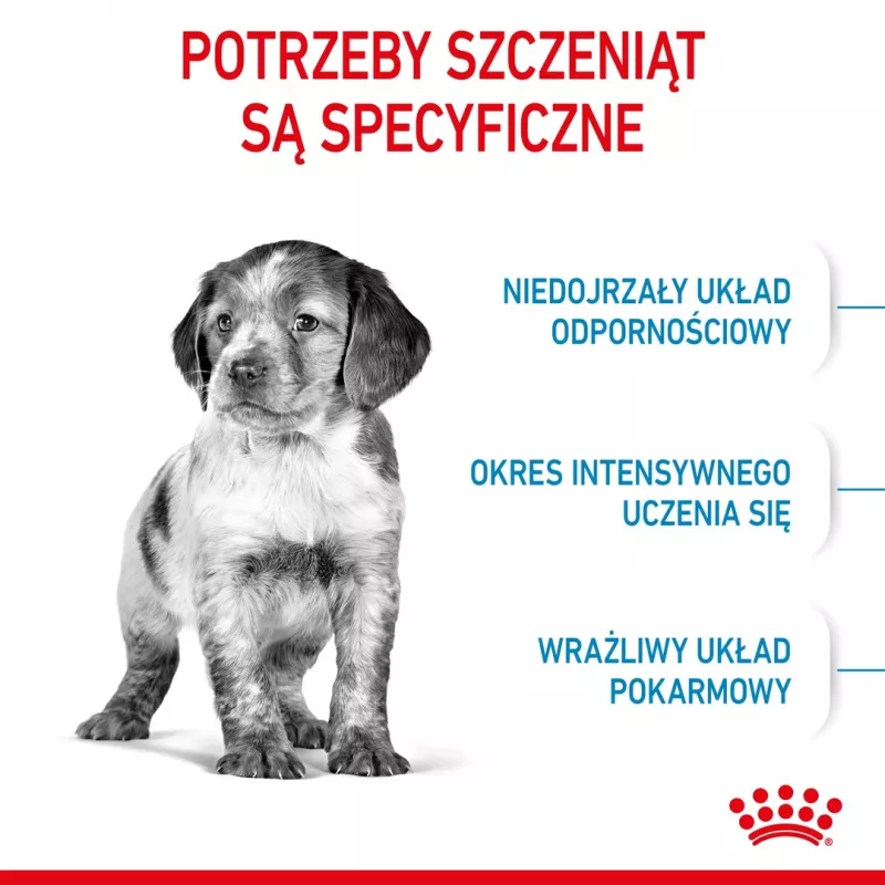 Sucha karma dla psa Royal Canin Medium Puppy 15 kg — dla szczeniąt ras średnich, smak kurczaka, 32% białka, 20% tłuszczu