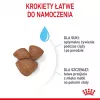 Sucha karma dla psa Royal Canin Starter Mother & Babydog 1 kg — kurczak, 30% białka, 22% tłuszczu
