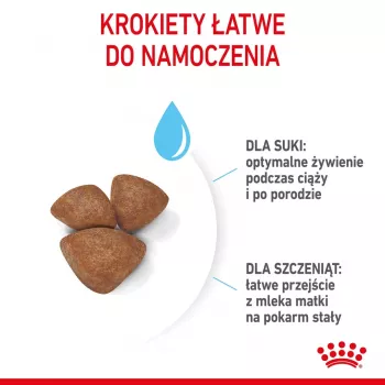 Sucha karma dla psa Royal Canin Starter Mother & Babydog 1 kg — kurczak, 30% białka, 22% tłuszczu