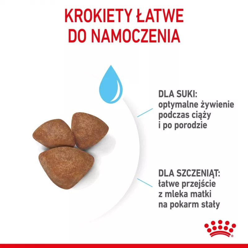 Sucha karma dla psa Royal Canin Starter Mother & Babydog 1 kg — kurczak, 30% białka, 22% tłuszczu