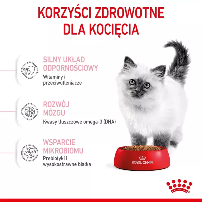 Sucha karma dla kota Royal Canin Kitten 2 kg — formuła z drobiem (kurczakiem), białko 36%, tłuszcz 18%