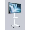 Gembird stojak podłogowy pod telewizor z kółkami do 32–55 cali, biały, VESA 100x100–400x400, 30 kg