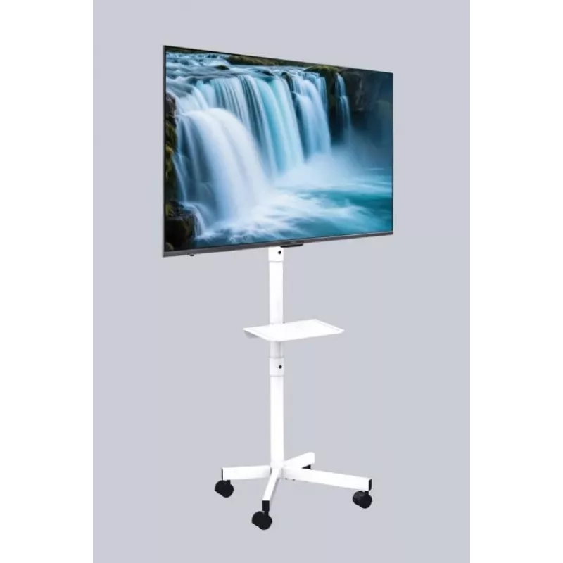 Gembird stojak podłogowy pod telewizor z kółkami do 32–55 cali, biały, VESA 100x100–400x400, 30 kg