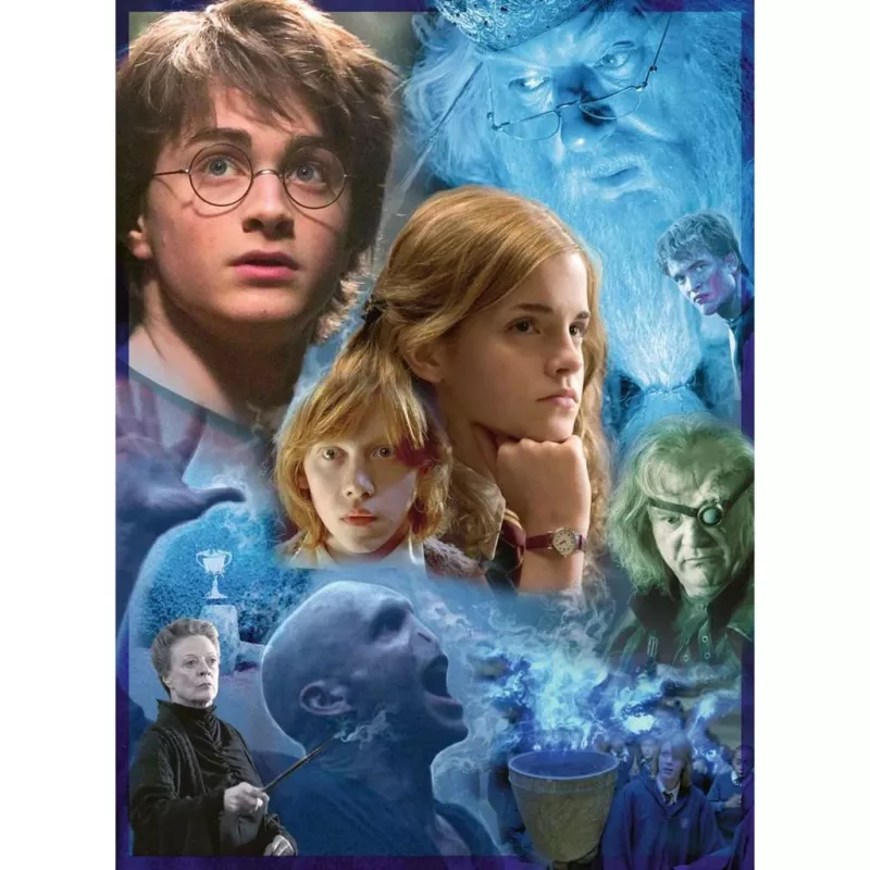 Puzzle Harry Potter in Hogwarts (500 elementów)