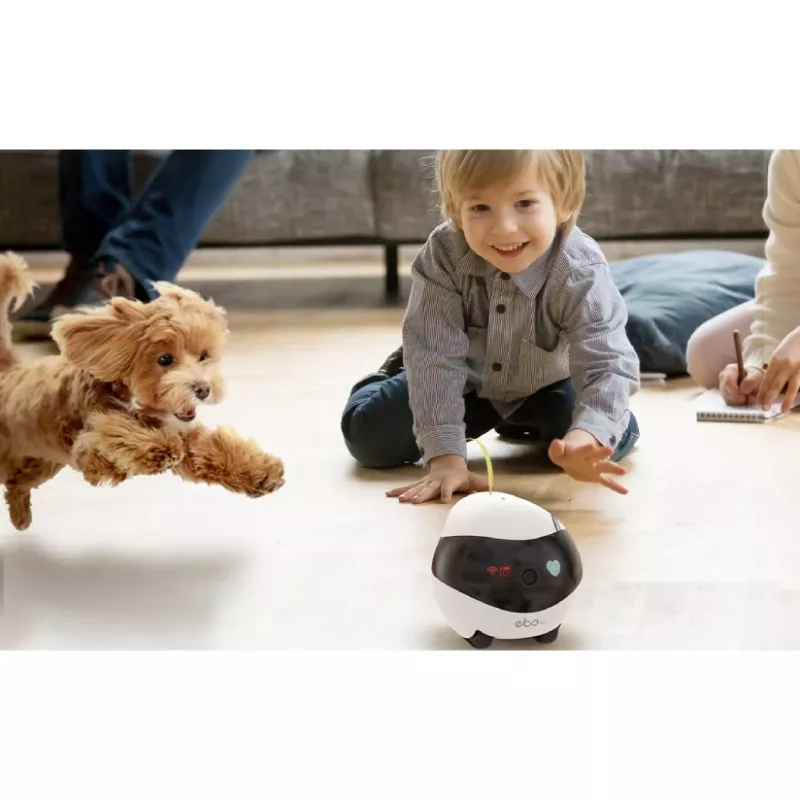 ENABOT Ebo Air AI Robot Biały i Czarny