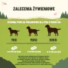 PURINA Adventuros Training salmon - przysmak dla psa - 40g